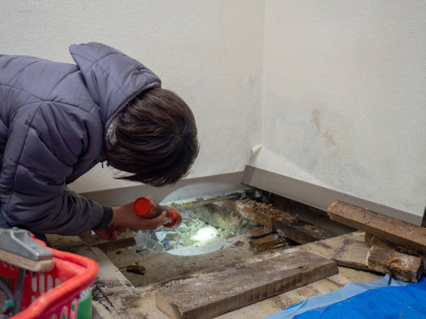 Best HVAC Mold Inspection and Cleaning  in Winnemucca, NV