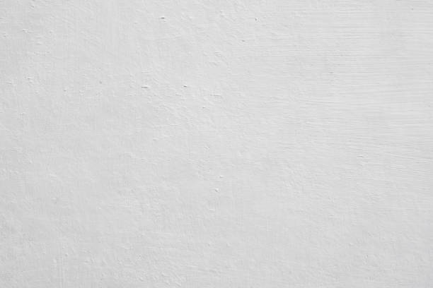  Winnemucca, NV Mold Removal Pros
